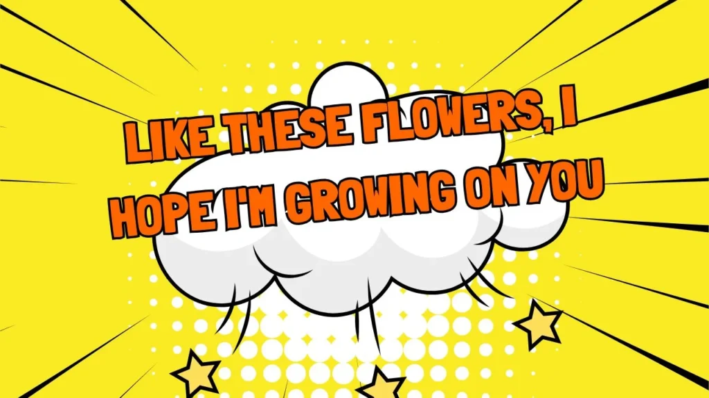 Funny Flower Messages for Early Dating