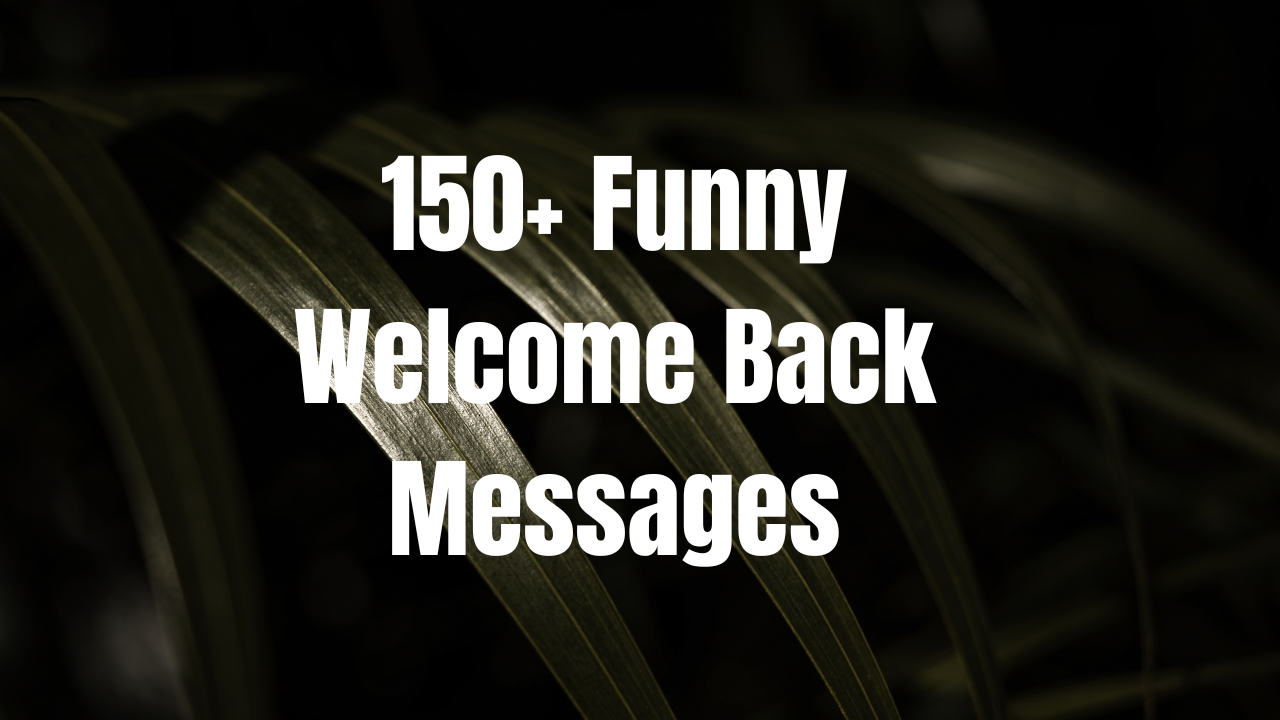 150+ Funny Welcome Back Messages