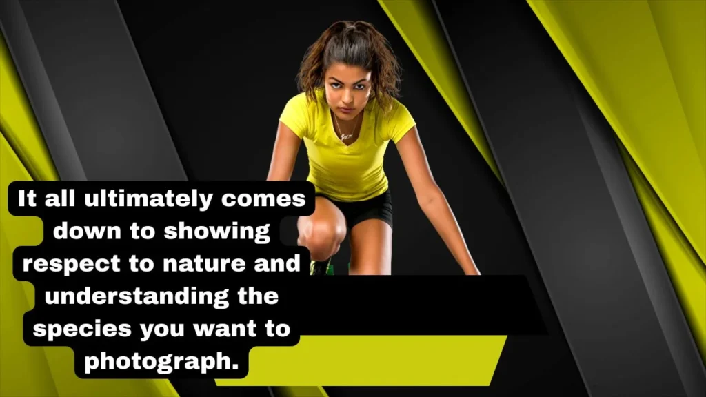 Wildlife Photography Messages