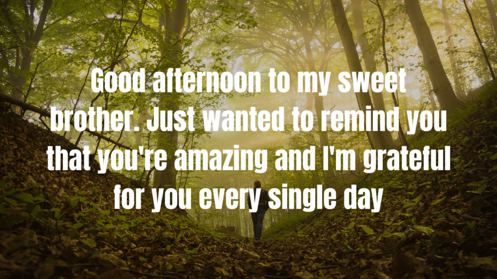 Short Good Afternoon Messages for Brother