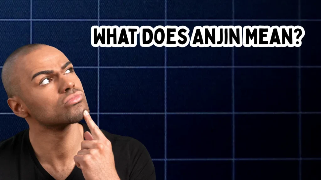 What Does Anjin Mean? The Literal Japanese Definition and Kanji Breakdown