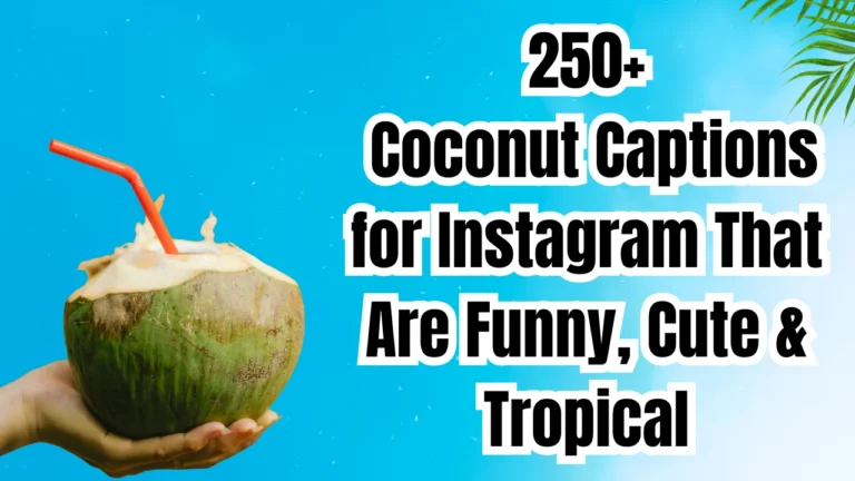 250+ Coconut Captions for Instagram That Are Funny, Cute & Tropical