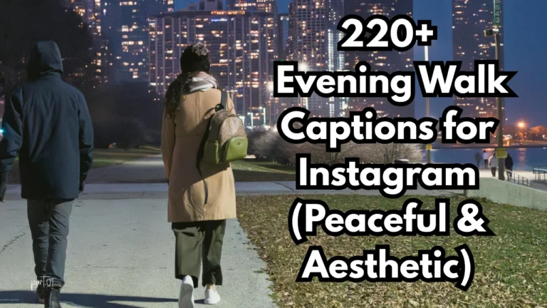 220+ Evening Walk Captions for Instagram (Peaceful & Aesthetic)