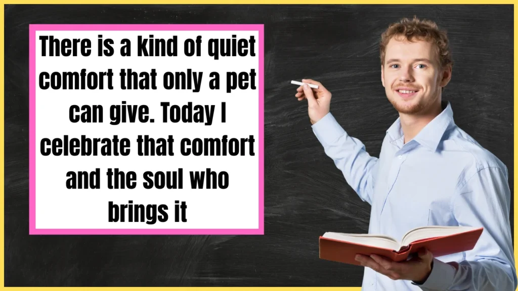 National Pet Day Wishes for Pet Lovers Who Adore All Animals