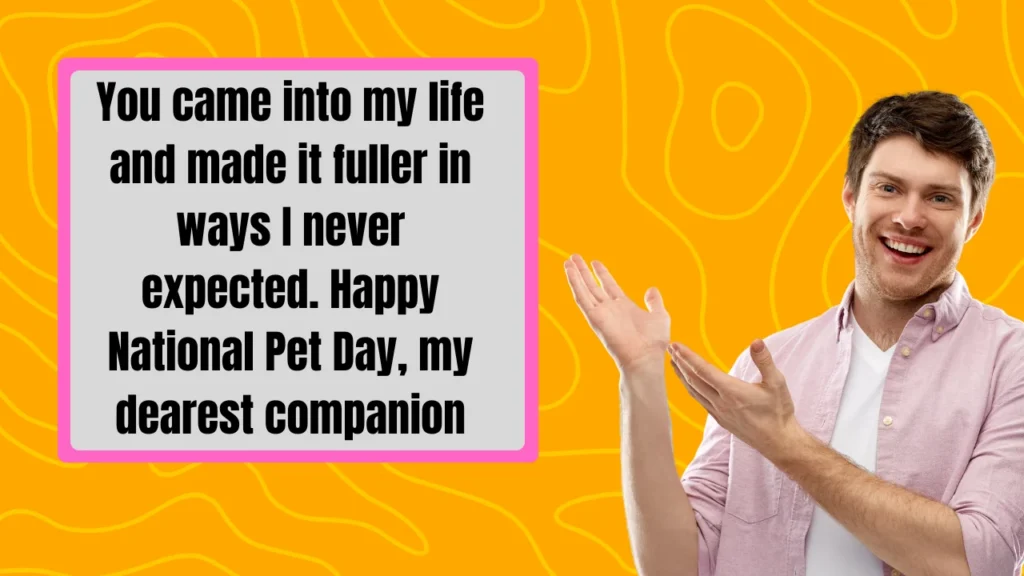 National Pet Day Messages to Honor Pets Who Have Passed — Rainbow Bridge